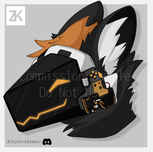 @Skydarkbomber on Discord